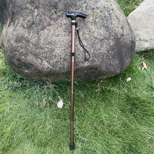 Adjustable Aluminum Trekking Pole