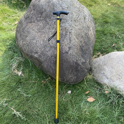 Adjustable Aluminum Trekking Pole