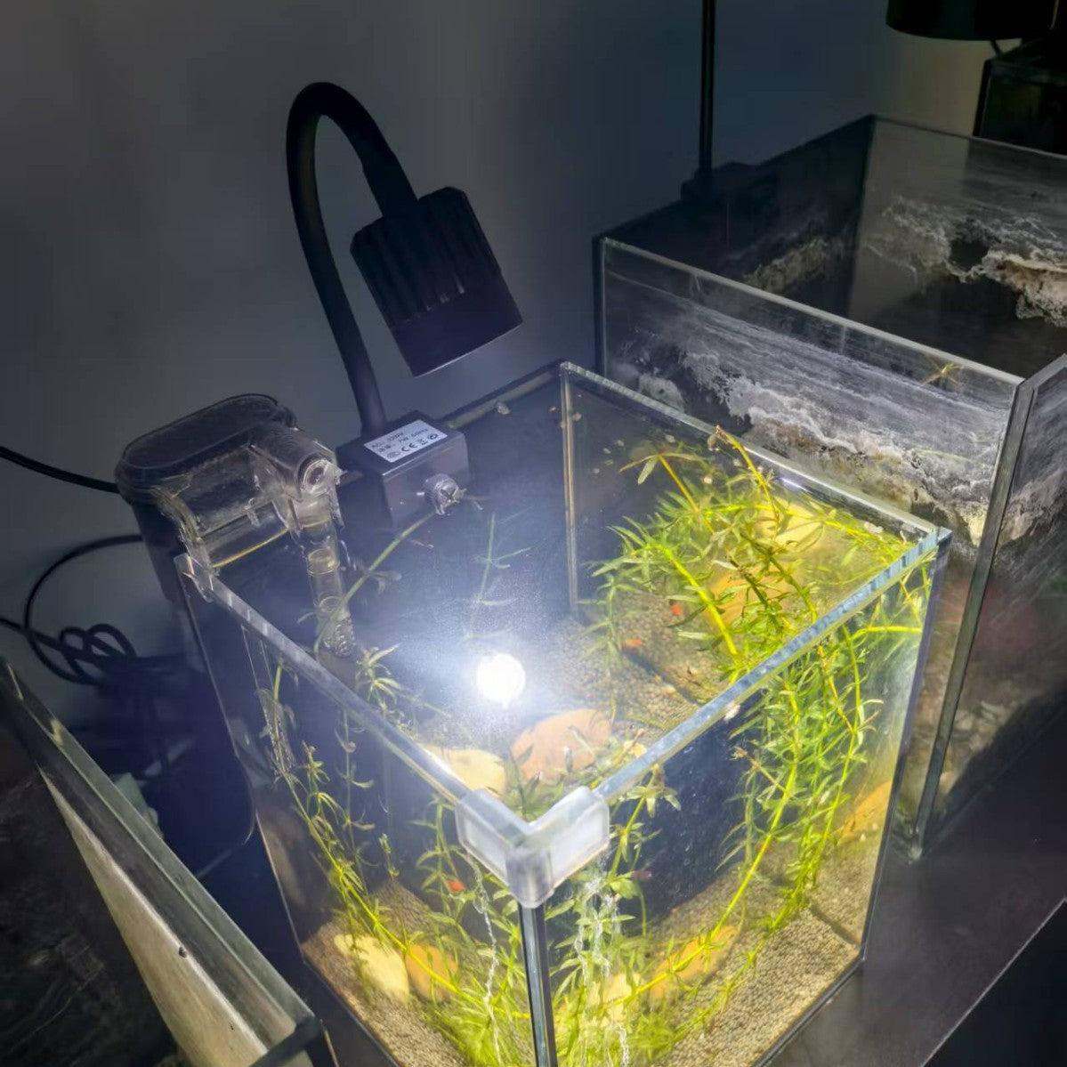 Adjustable Aquarium Clip Light with Three Colors