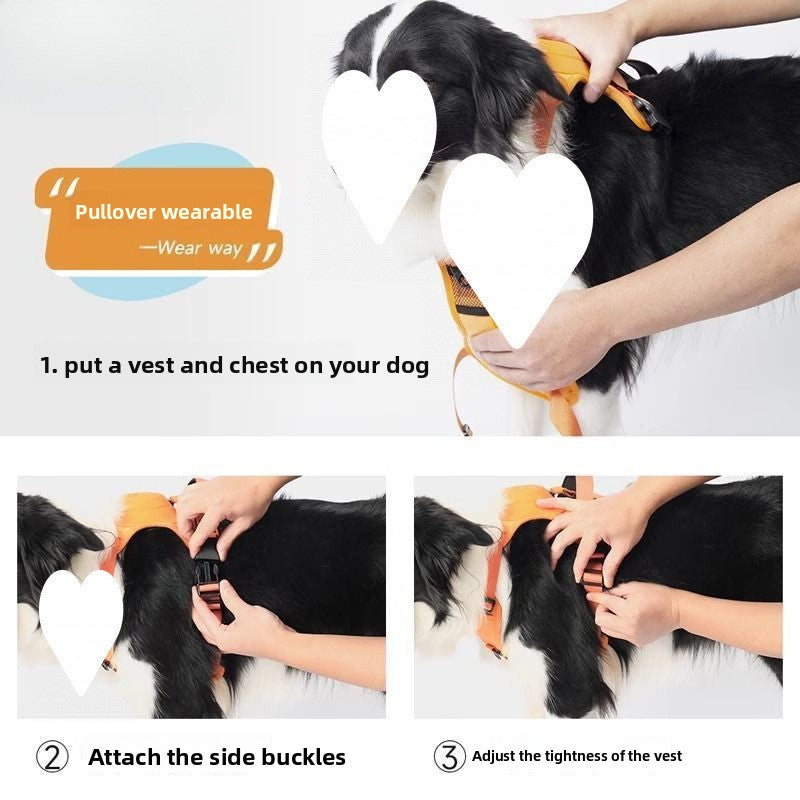 Adjustable Dog Chest Harness Leash