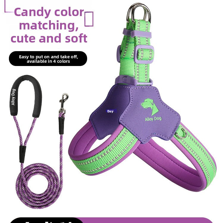 Adjustable Dog Harness and Leash Set