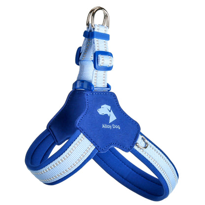 Adjustable Dog Harness and Leash Set