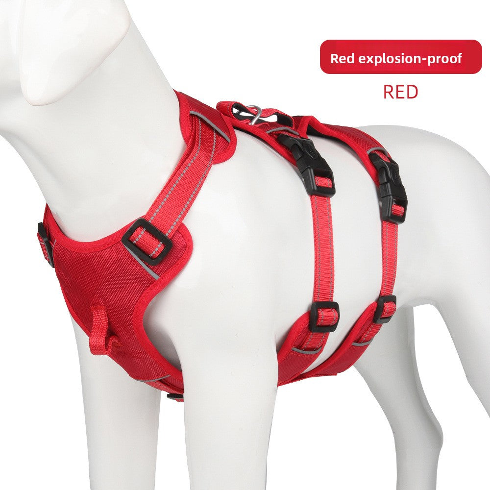 Adjustable Dog Harness with Leash