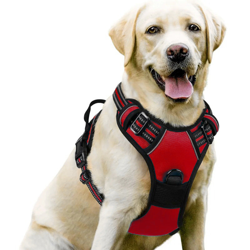 Adjustable Dog Leash and Chest Strap