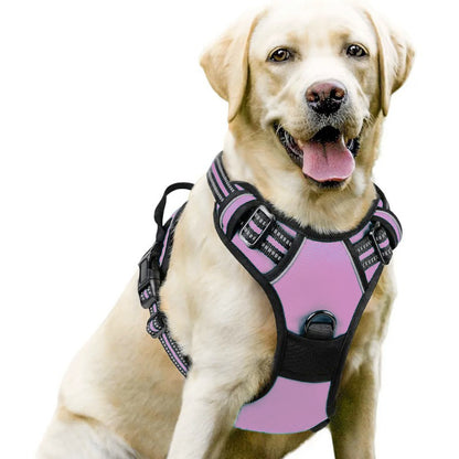 Adjustable Dog Leash and Chest Strap