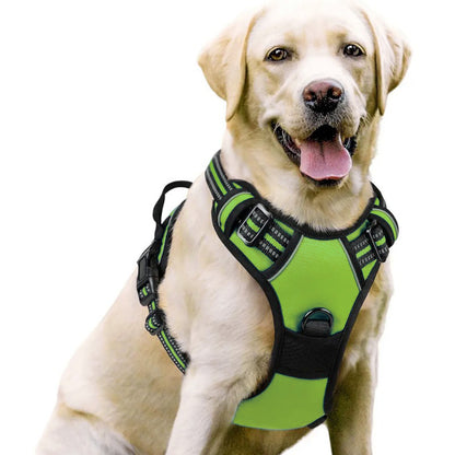 Adjustable Dog Leash and Chest Strap