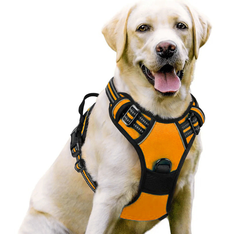 Adjustable Dog Leash and Chest Strap