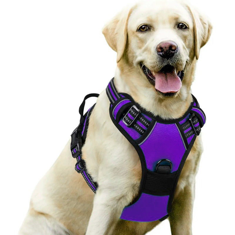 Adjustable Dog Leash and Chest Strap