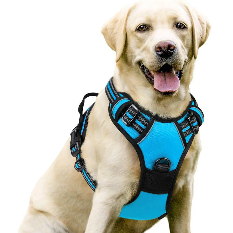 Adjustable Dog Leash and Chest Strap