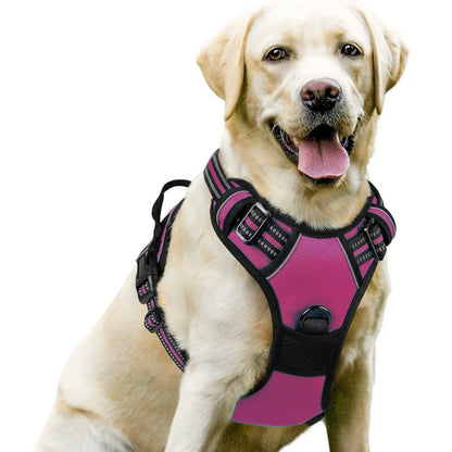 Adjustable Dog Leash and Chest Strap