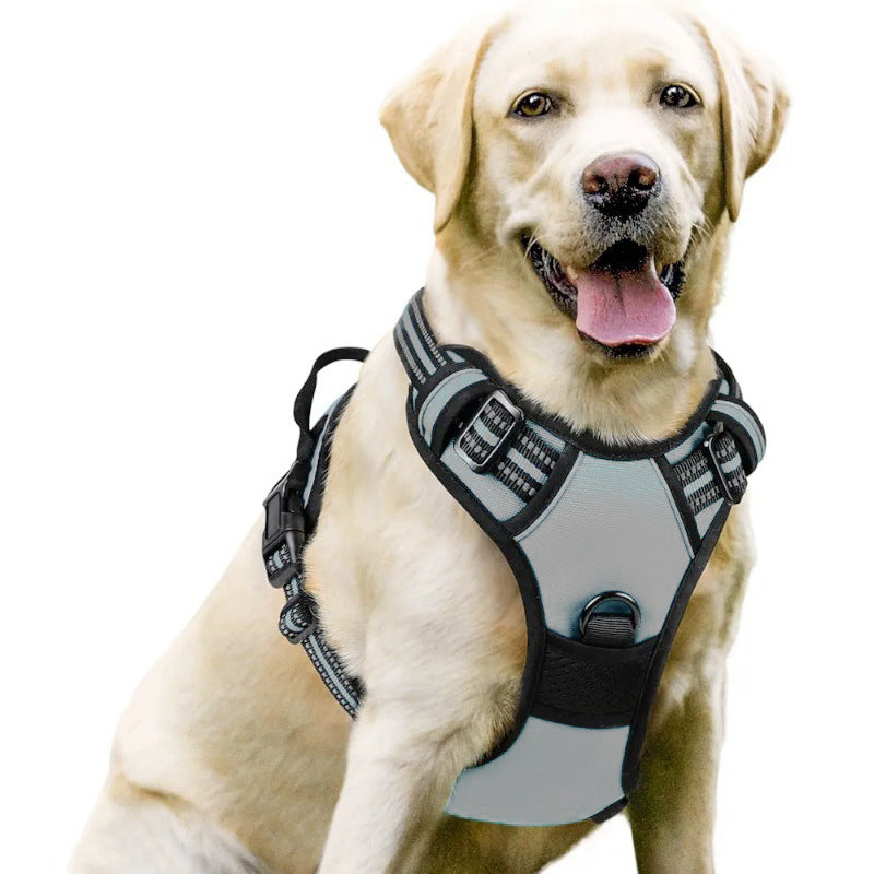 Adjustable Dog Leash and Chest Strap
