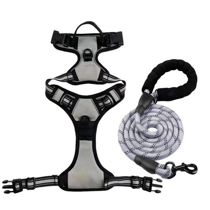 Adjustable Dog Leash and Chest Strap