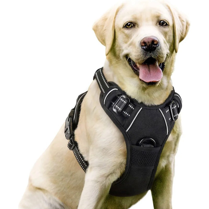 Adjustable Dog Leash and Chest Strap