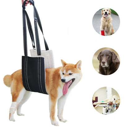 Adjustable Dog Recovery Harness
