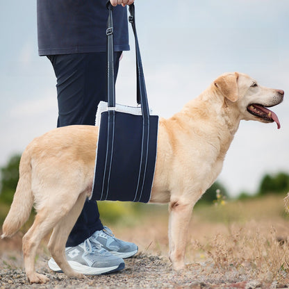 Adjustable Dog Recovery Harness