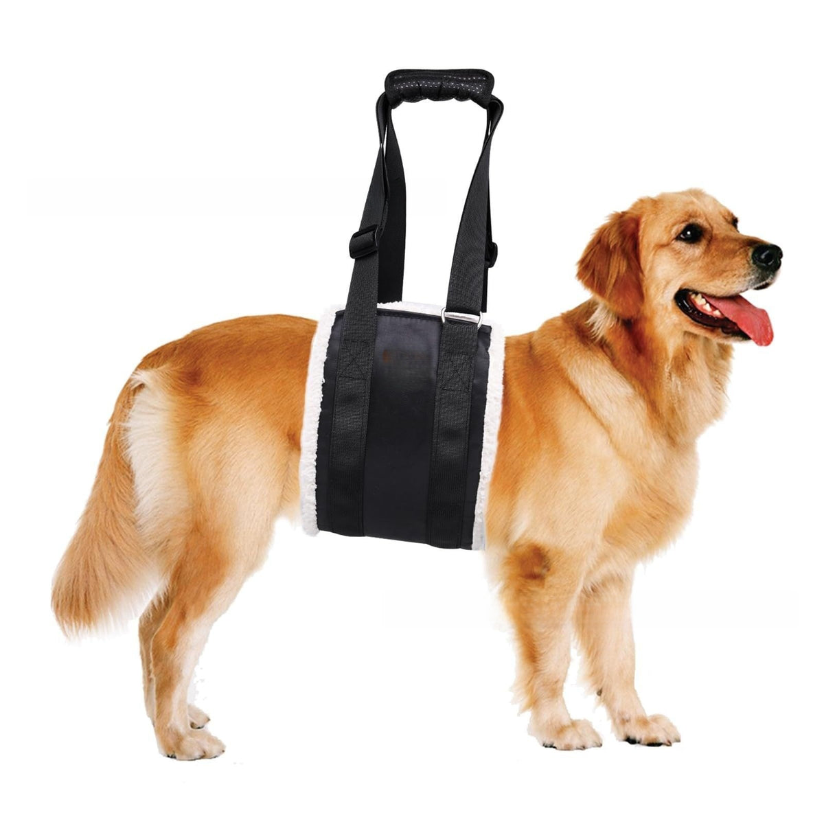 Adjustable Dog Recovery Harness