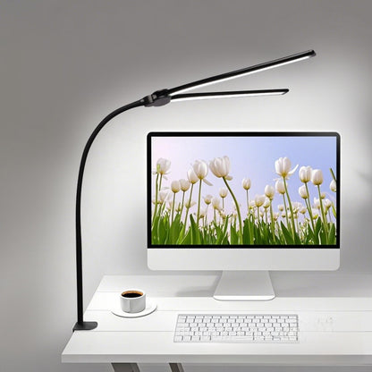 Adjustable Dual Head USB LED Desk Lamp