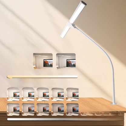 Adjustable Dual Head USB LED Desk Lamp