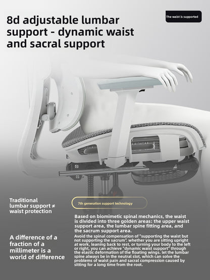 Adjustable Ergonomic Office Chair with Lumbar Support