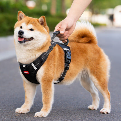 Adjustable Explosion-Proof Dog Harness with Leash