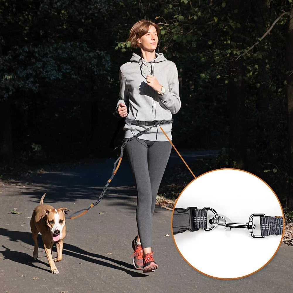Adjustable Hands-Free Dog Leash with Harness