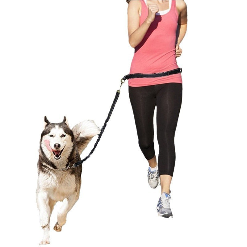 Adjustable Hands-Free Dog Leash with Harness