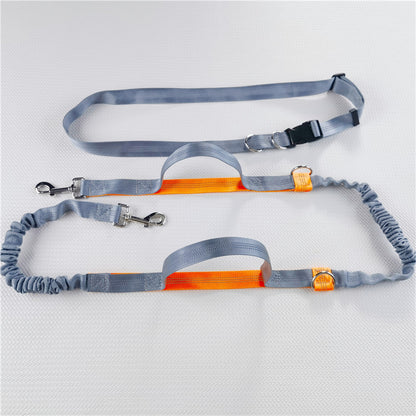 Adjustable Hands-Free Dog Leash with Harness