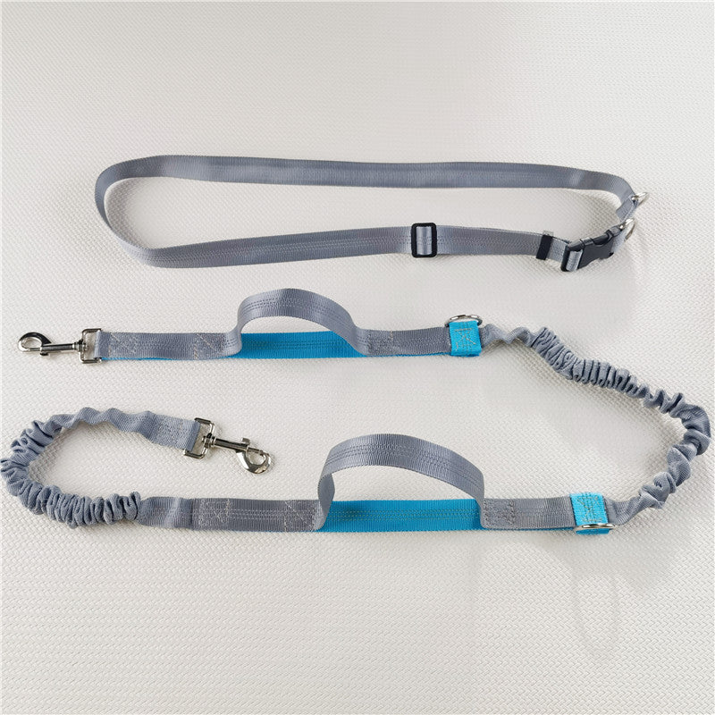 Adjustable Hands-Free Dog Leash with Harness