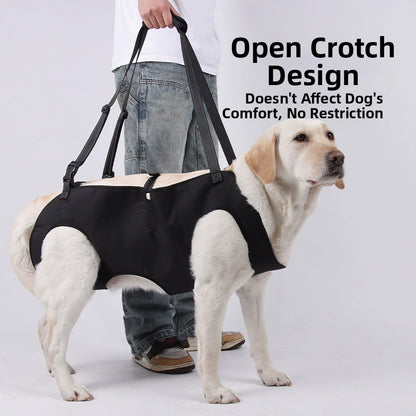 Adjustable Leash