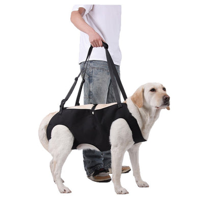 Adjustable Leash