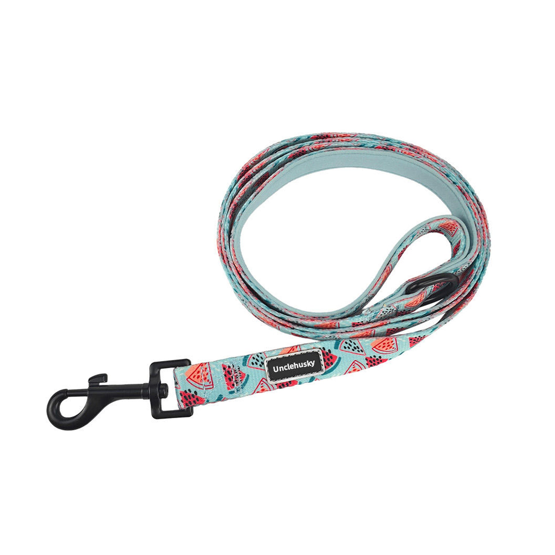 Adjustable Mesh Pet Harness and Leash Set
