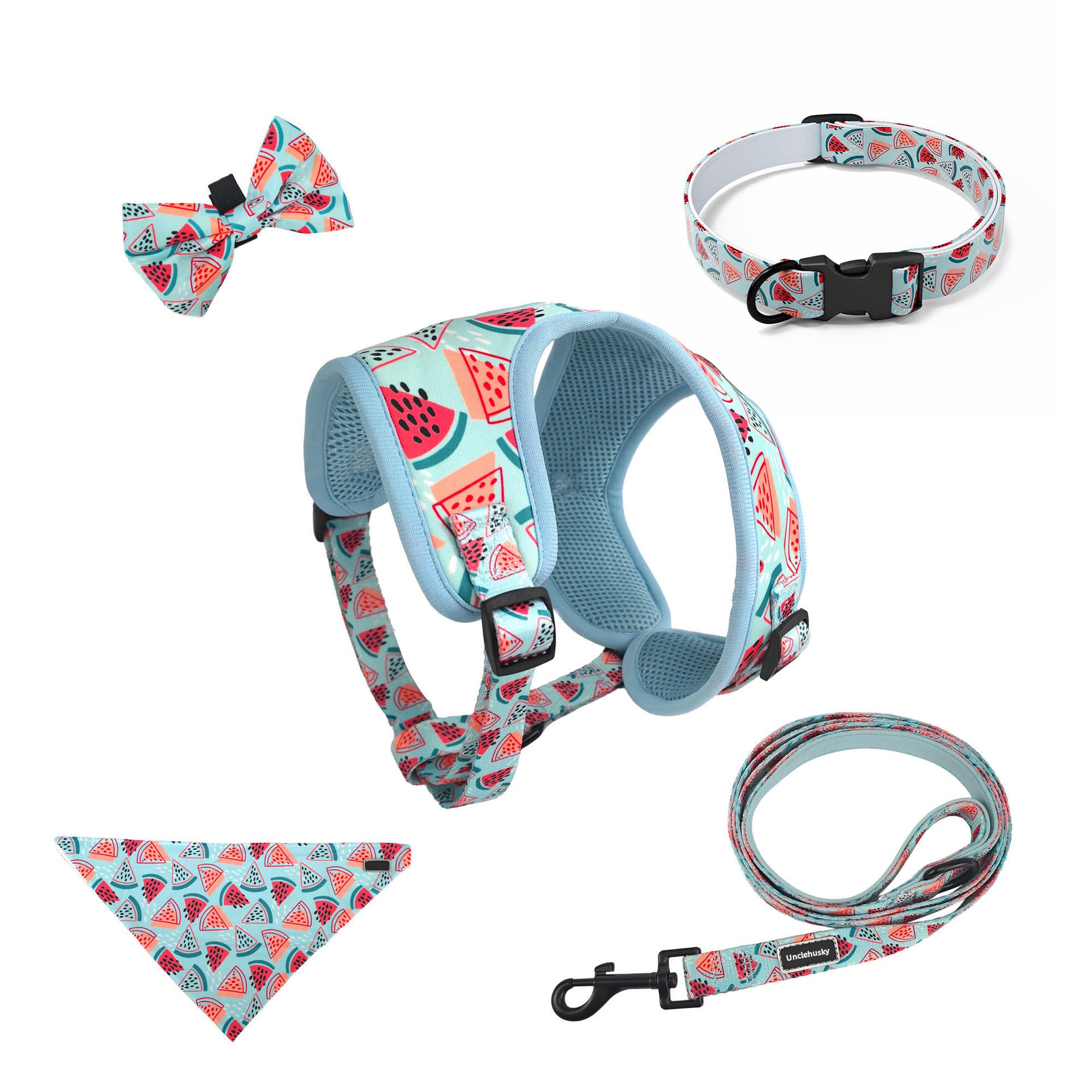 Adjustable Mesh Pet Harness and Leash Set