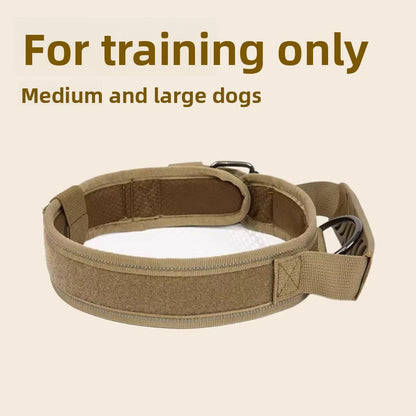 Adjustable Nylon Dog Collar