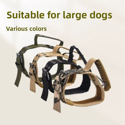 Adjustable Nylon Dog Collar