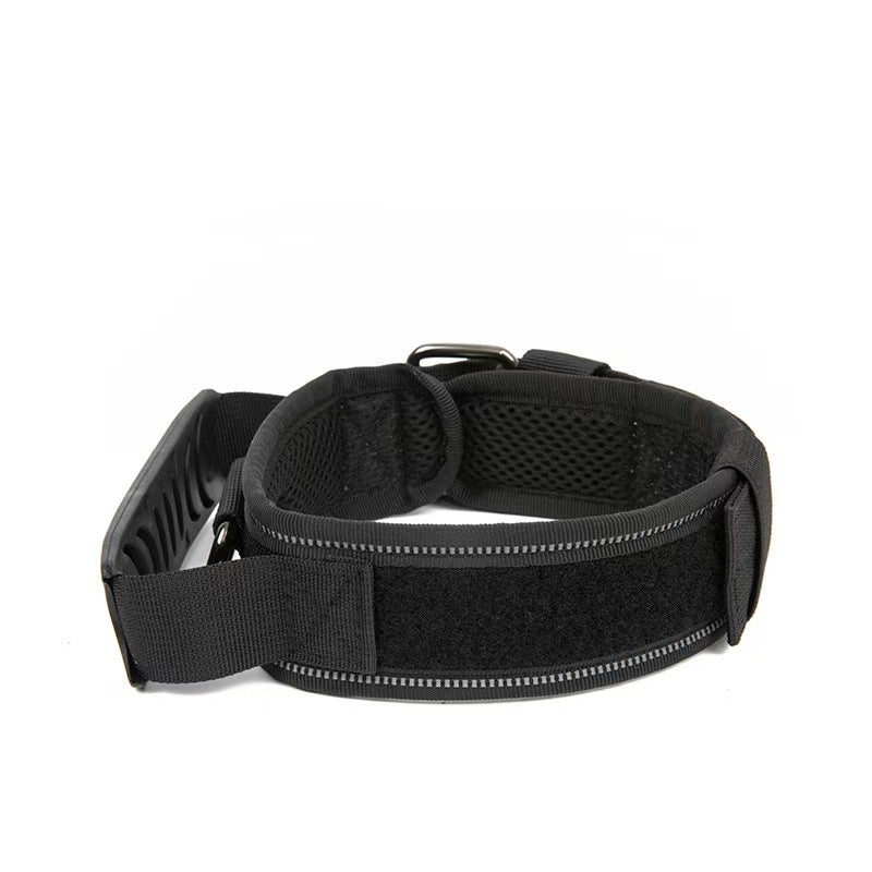 Adjustable Nylon Dog Collar