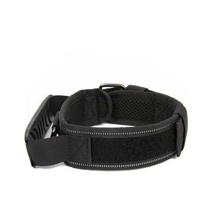 Adjustable Nylon Dog Collar
