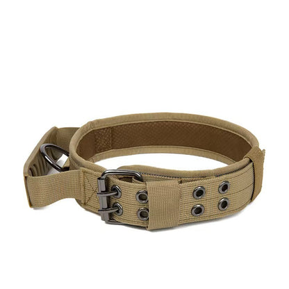 Adjustable Nylon Dog Collar