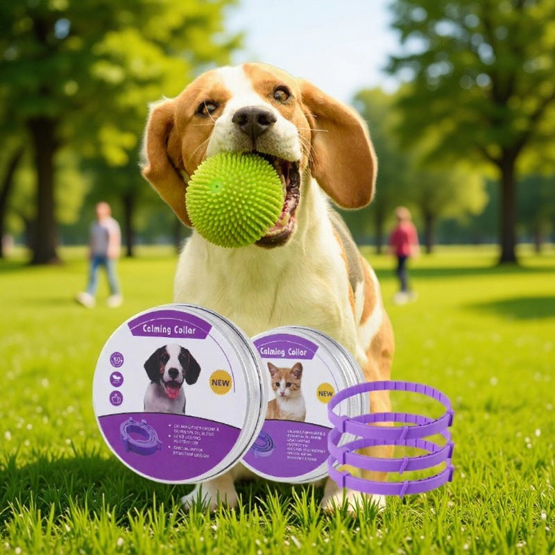 Adjustable Pet Collar