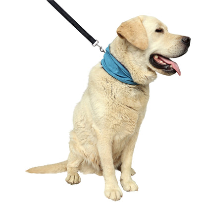 Adjustable Pet Cooling Scarf