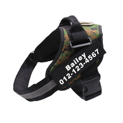 Adjustable Pet Harness Vest with Leash Hook