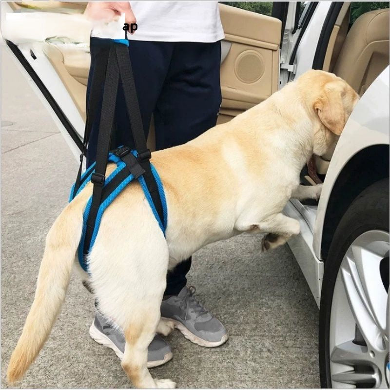 Adjustable Pet Hind Leg Support Harness for Mobility Assistance