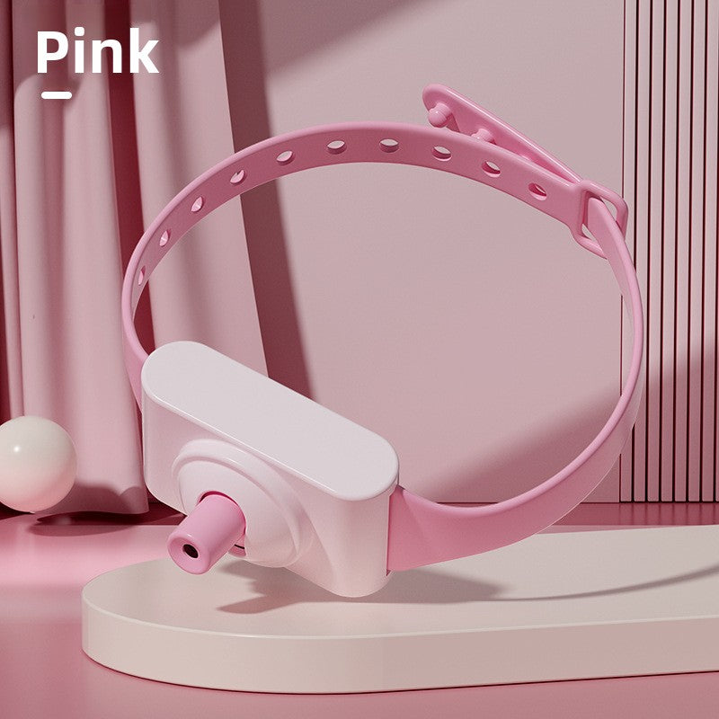 Adjustable Pet Laser Collar Toy