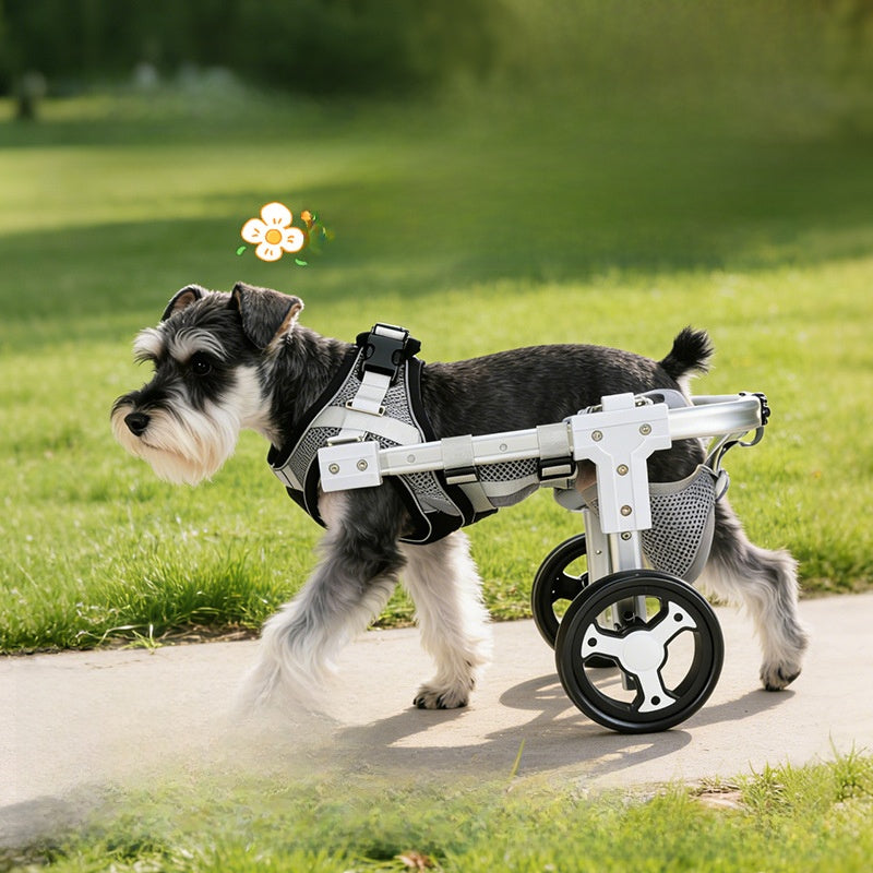 Adjustable Pet Mobility Wheelchair