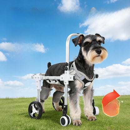 Adjustable Pet Mobility Wheelchair