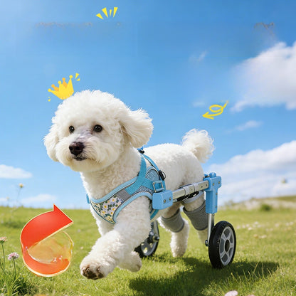 Adjustable Pet Mobility Wheelchair