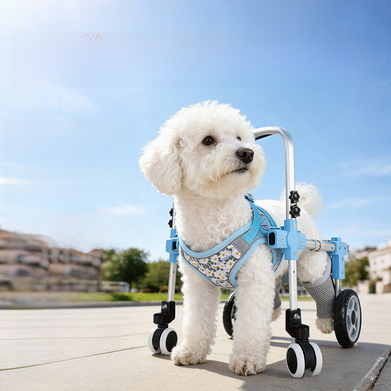 Adjustable Pet Mobility Wheelchair