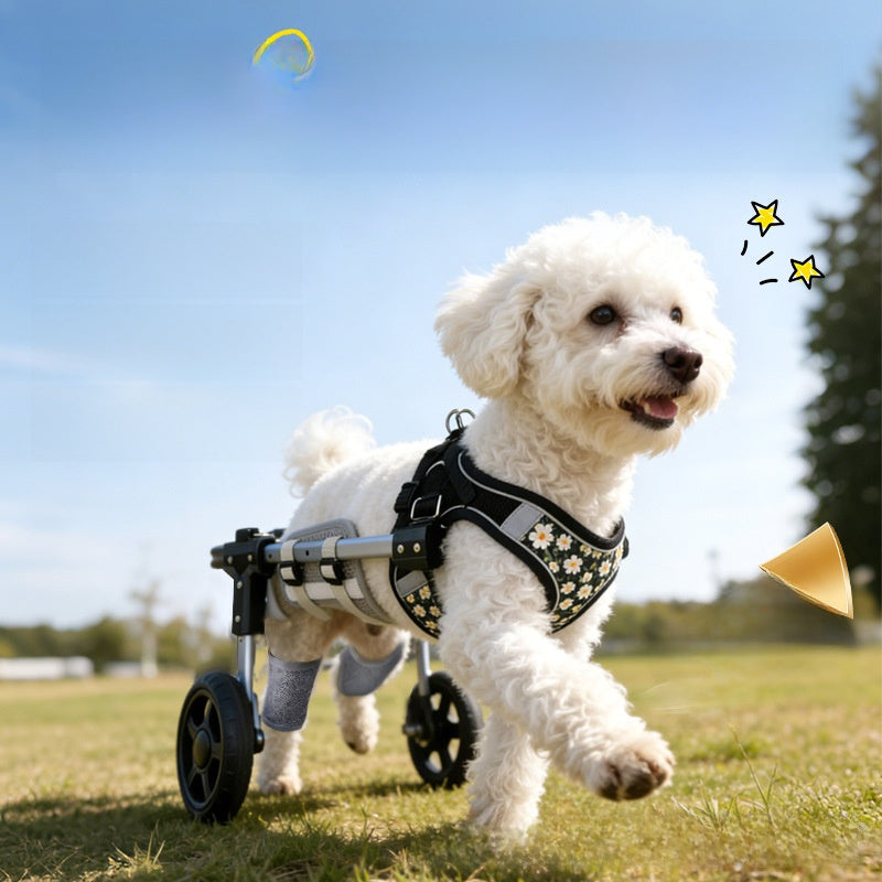 Adjustable Pet Mobility Wheelchair