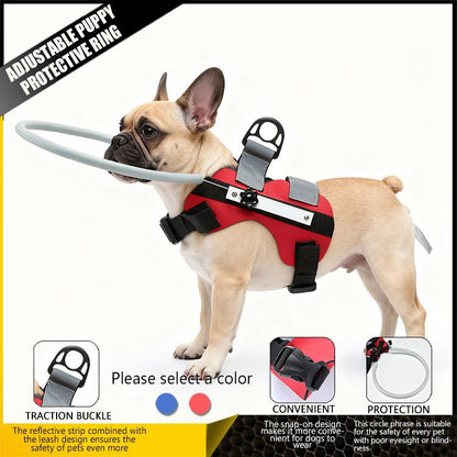Adjustable Pet Safety Collision Protection Ring
