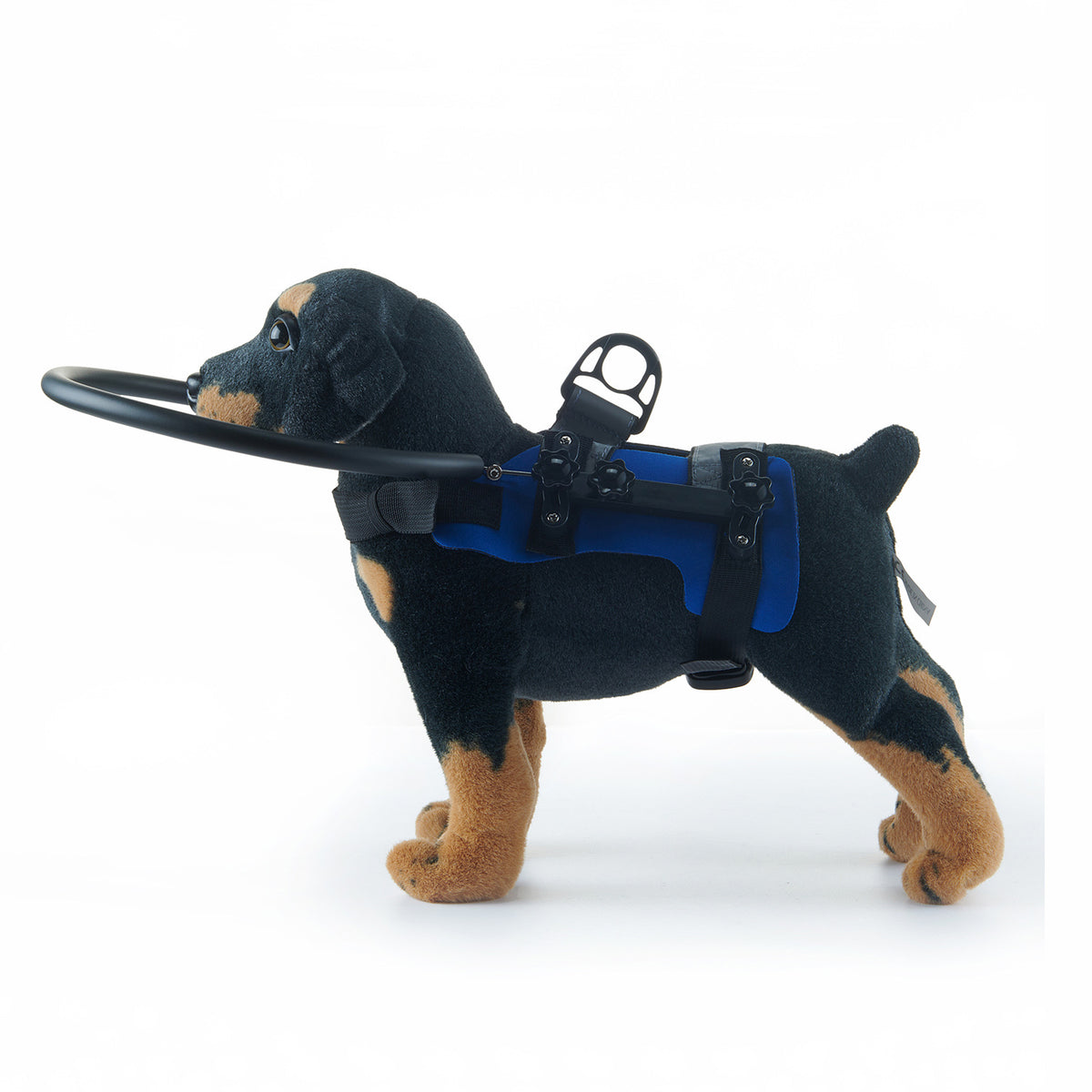 Adjustable Pet Safety Collision Protection Ring