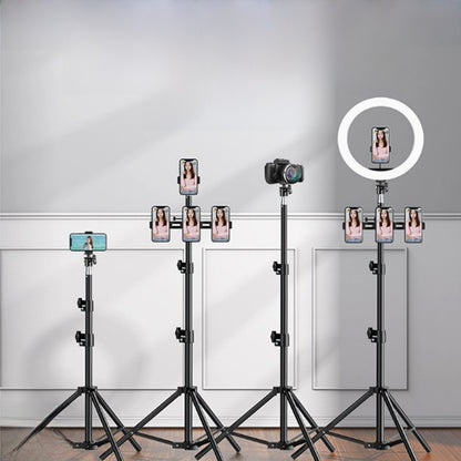 Adjustable Phone Tripod with Fill Light for Live Streaming